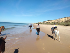 Spain-Southern Spain-Doñana Park Explorer